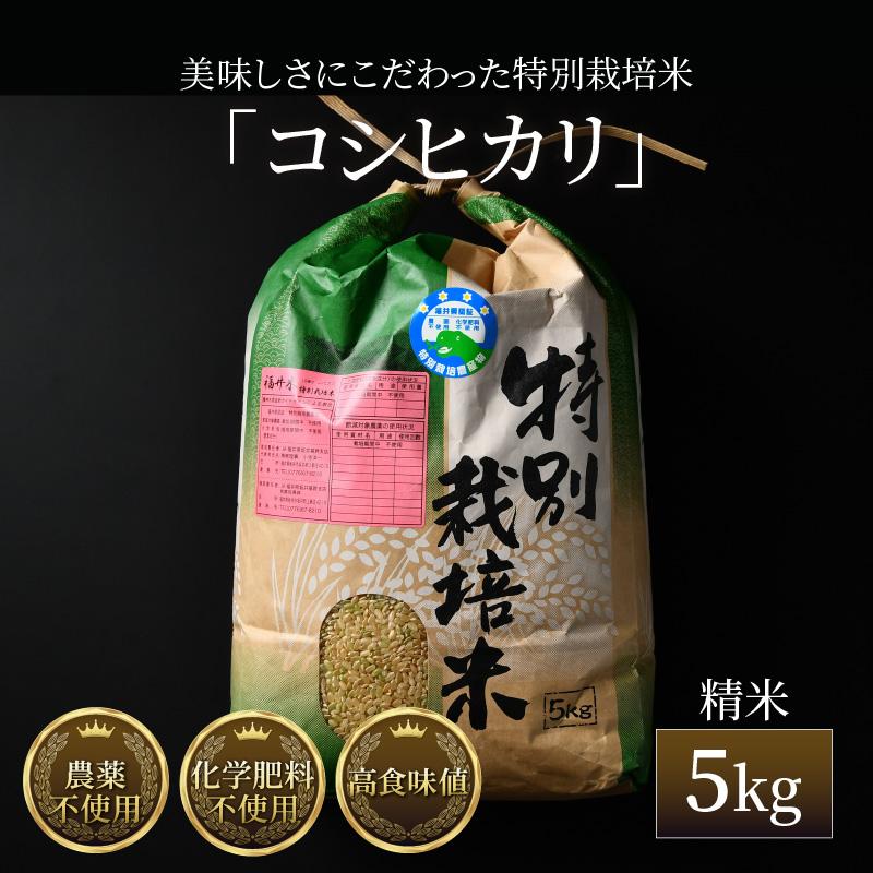 【令和6年産 新米】コシヒカリ 玄米 5kg 特別栽培米 農薬不使用 化学肥料不使用 ／ 高品質 鮮度抜群 福井県産 ブランド米