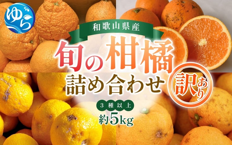 
                  訳あり 旬の 柑橘 詰め合わせ（3種以上）5kg / みかん 蜜柑 フルーツ 果物 くだもの 和歌山 ※2月上旬～3月下旬に順次発送 ※北海道・沖縄・離島配送不可 【eiw028】
                