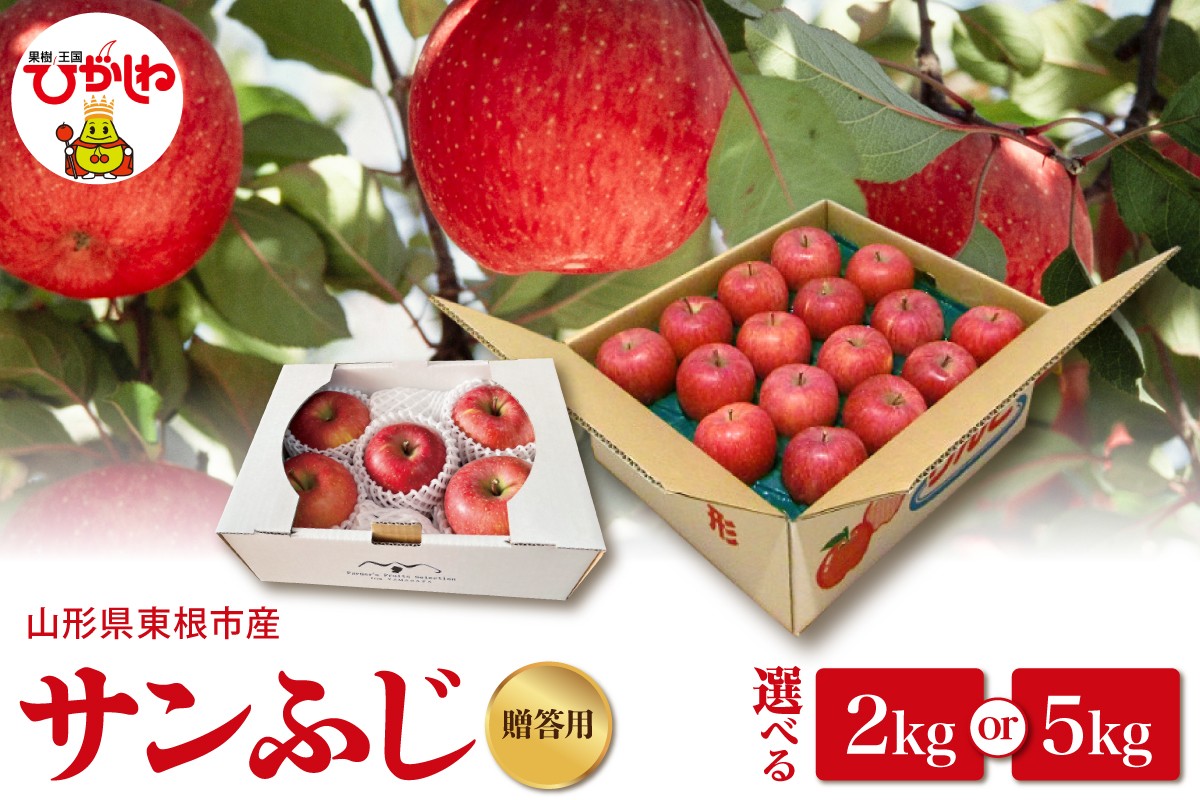 
                  ≪選べる内容量≫2025年産 りんご サンふじ 2kg・5kg 山形県 東根市 hi088-003-o
                