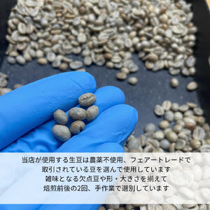 農薬不使用 自家焙煎 おすすめ2種焙煎豆セット 【 フェアトレードコーヒー オーガニック 有機栽培 コーヒー豆 】C57