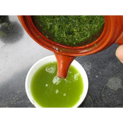 ふるさと納税 島田市 旬の煎茶 玉翠 100g×5パック |  | 03