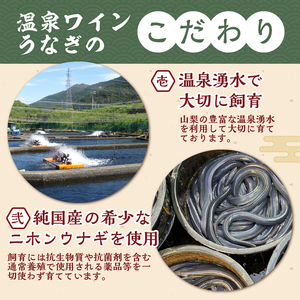 富士の湧き水や山梨の温泉で育った絶品推し【甲斐サーモン】西京漬け＆塩こうじ漬け 1kg超＆【温泉ワインうなぎ】蒲焼 1尾(大)