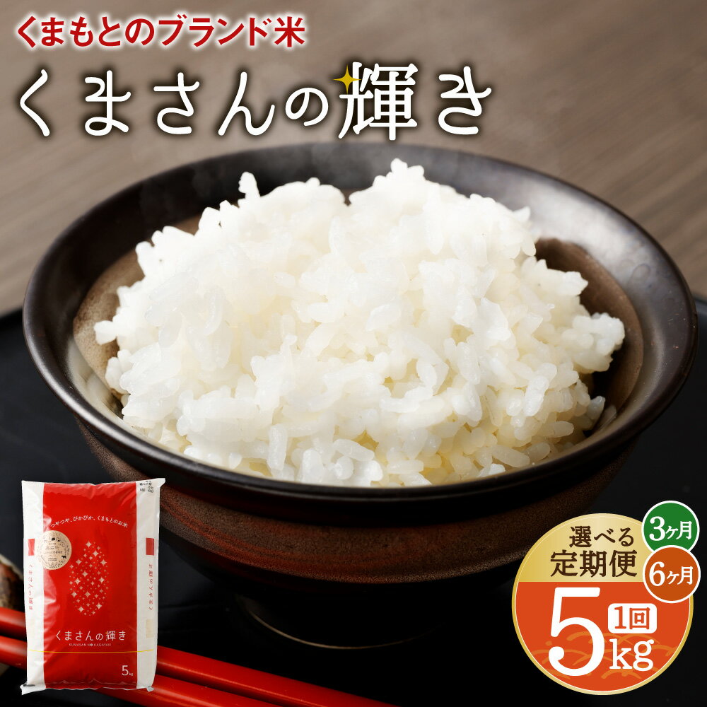 【ふるさと納税】【選べる 定期便】くまもとのブランド米 くまさんの輝き 5kg 3ヶ月 / 6ヶ月 熊本県産 九州 米 お米 白米 ご飯 精米 袋 国産 送料無料