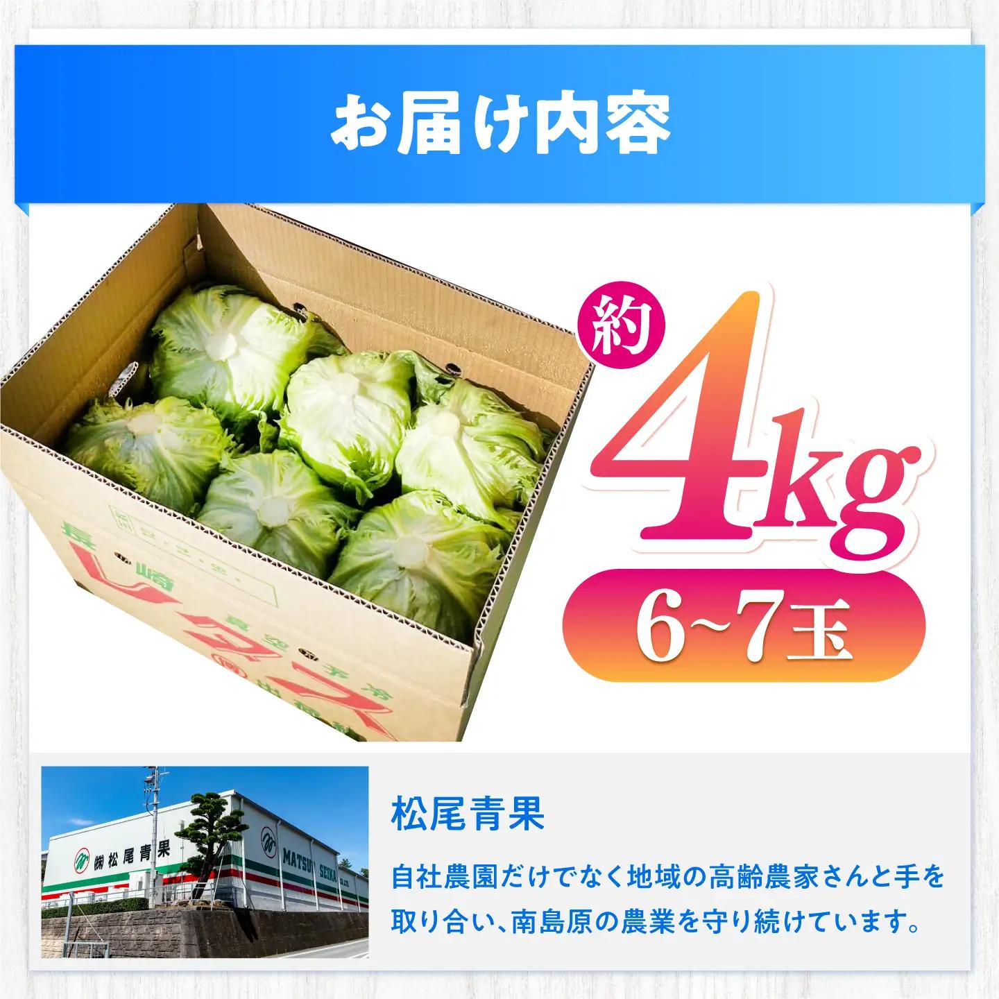 レタス 約4kg(6～7玉)/ れたす 野菜 やさい / 南島原市 / 株式会社松尾青果[SGU006]