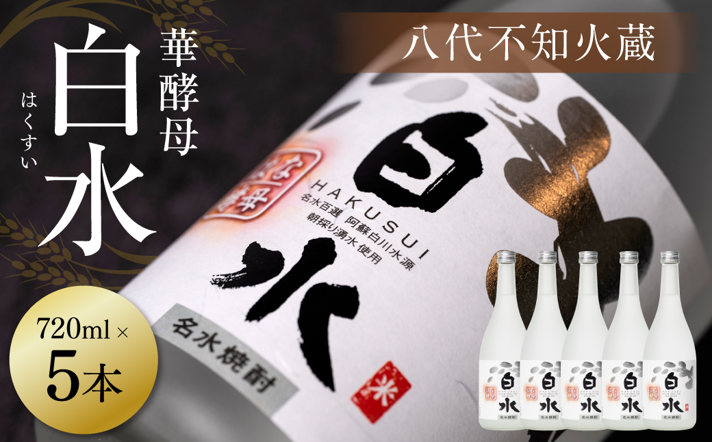 八代不知火蔵 白水 華酵母 720ml 5本 米焼酎 焼酎 はくすい 酒 本格焼酎 乙類 25度 蒸留酒 独自の酵母