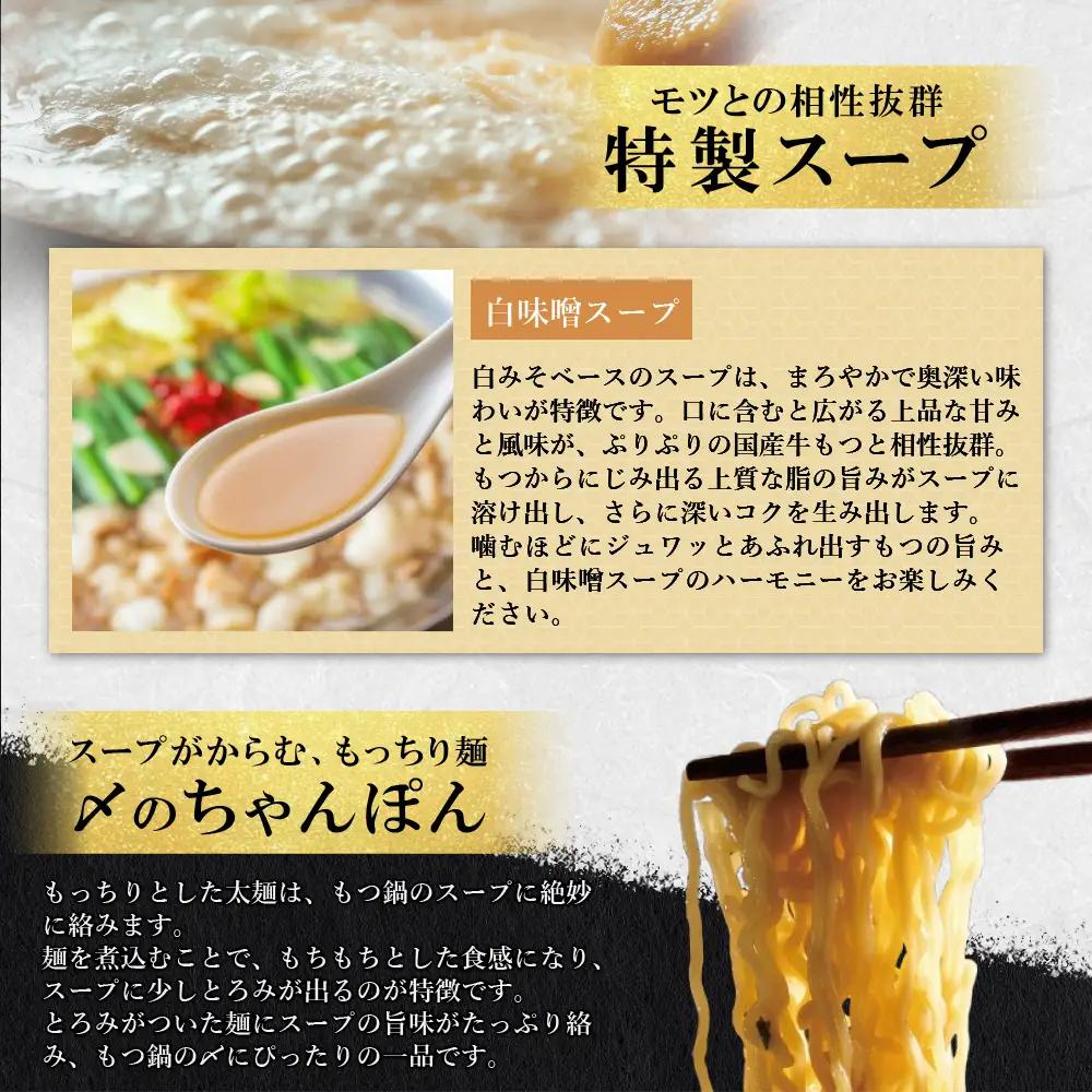 Z08-31 お徳用もつ鍋(白味噌味 8～10人前)  もつ鍋