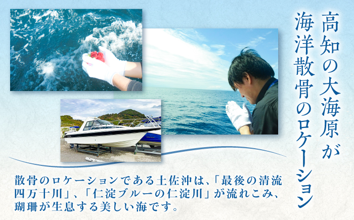 愛猫のための代行海洋散骨供養 (粉骨・散骨証明書・ブックレット付) / ペット供養 愛猫供養 猫 ねこ ネコ 海 埋葬 自然葬 葬儀 お別れ 弔い サービス 代行 委託 メモリアル 遺骨 粉骨 船 プ