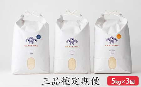 定期便 三品種 米 令和7年 5kg×3回 コメ こめ 萩産 KAMITAMA｜HG0T0393