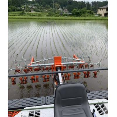 ふるさと納税 鹿沼市 【令和7年産】もち米(きぬはなもち)精米1kg　◆有機JAS認証 |  | 01