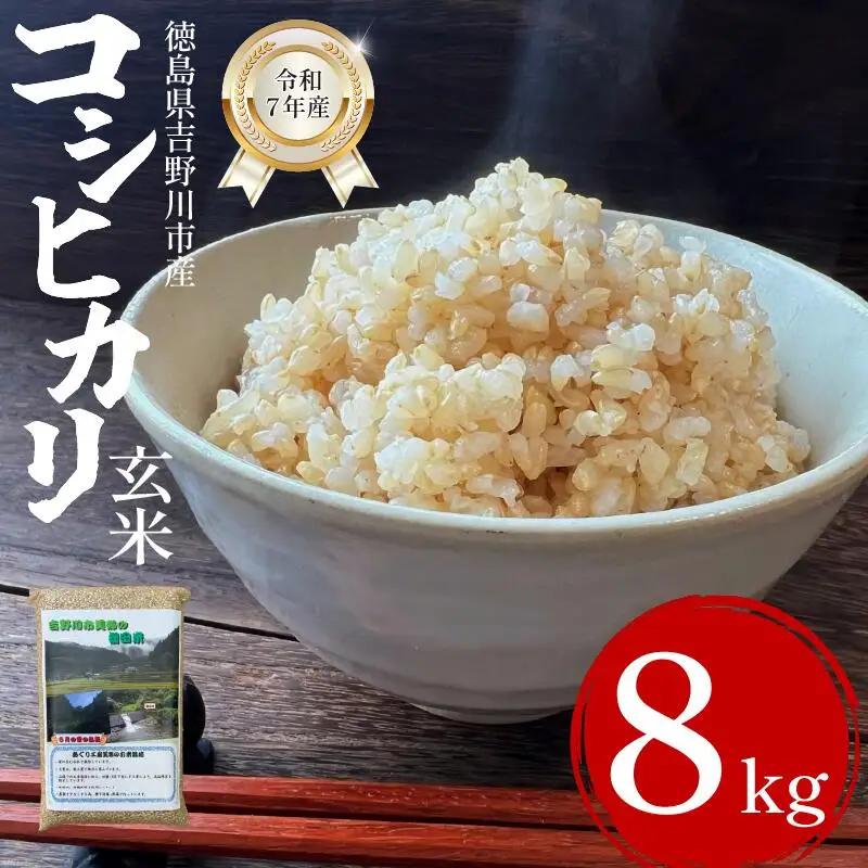 米 玄米 8kg （2㎏×4袋） コシヒカリ 令和7年度産