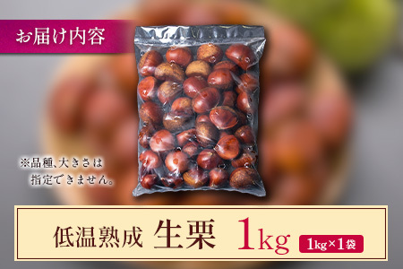 ＜2026出荷!!＞国産 低温熟成栗（生栗）1kg 熟成宝珠栗 産地直送 宮崎県新富町産【B671-26】