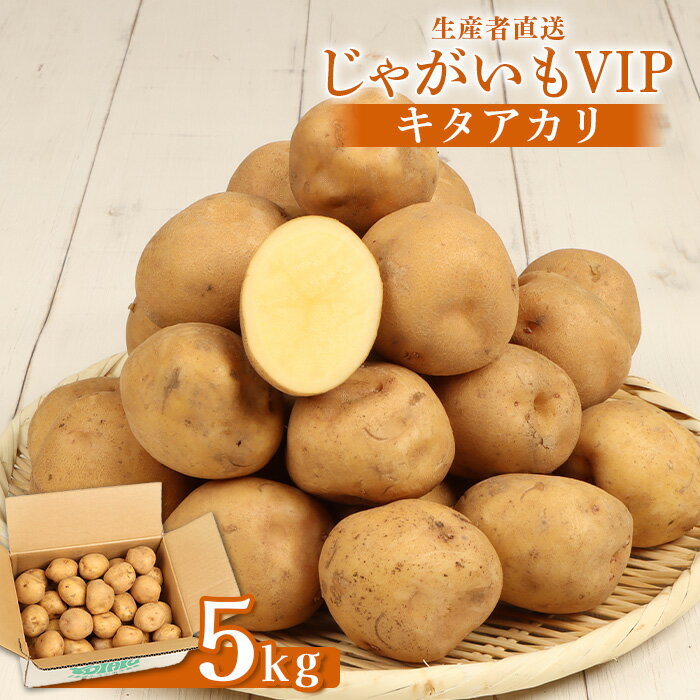 【ふるさと納税】【9月～12月発送予定】じゃがいも VIP キタアカリ 5kg いも おいも 芋 イモ ジャガイモ ポテト きたあかり オンライン 申請 ふるさと納税 北海道 留寿都 野菜 ホクホク 産地直送 新鮮 じゃがバター ポテトサラダ フライ 5キロ 留寿都村【1200201】