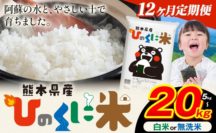 
            【12ヶ月定期便】 白米 無洗米 ひのくに米 選べる内容量 5kg 10kg 15kg 20kg 《お申込み月の翌月から出荷開始》 食品 米 こめ コメ 熊本県産 ふるさと納税 お米 おこめ 熊本
          