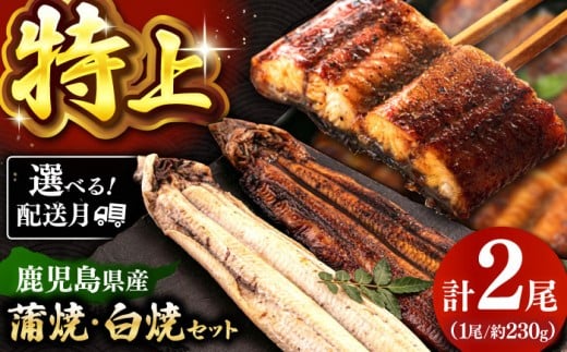 鹿児島産 うなぎ 2尾　蒲焼・白焼 食べ比べ セット 特製秘伝のタレ付き！ ▼うなぎ蒲焼 ウナギ 鰻 蒲焼 白焼 有頭 九州産 うな重 冷凍 かばやき 桂川町/山水商事 [ADAH007]
