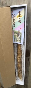 自然薯 1.15 kg 1 本  千葉県産 |  パイプ 栽培 マルショー農園 じねんじょ 君津市 きみつ 千葉県