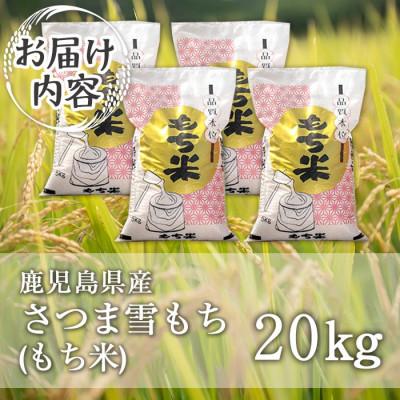 ふるさと納税 伊佐市 鹿児島県産もち米(20kg)  伊佐米 isa870 |  | 03