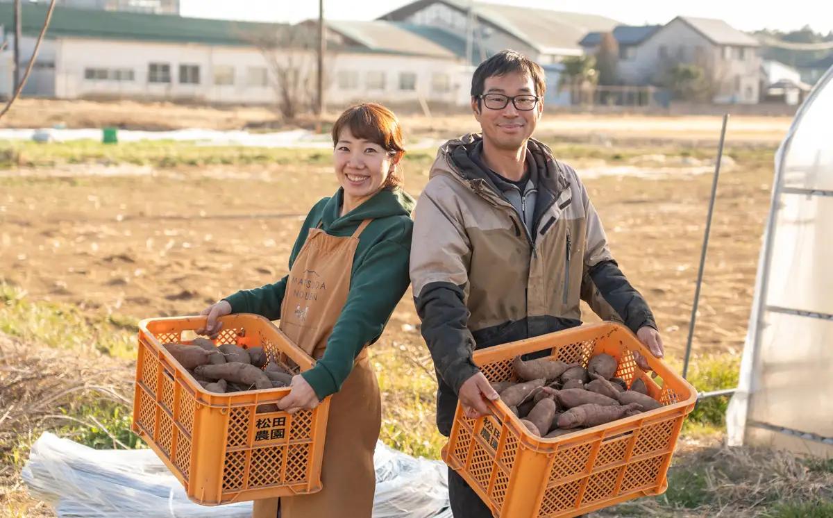 先行予約 さつまいも 訳あり 紅はるか 4.5kg さつまいも