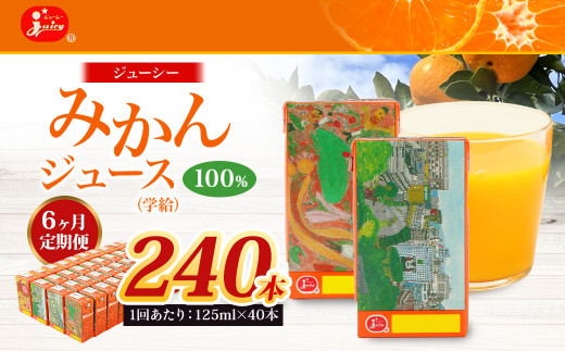 【6回定期便】 ジューシー みかんジュース 100％ （学給） 125ml×40本 みかん ミカン 蜜柑 ジュース オレンジジュース 飲料 紙パック 国産 熊本県