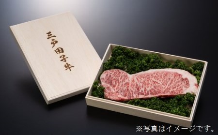 【黒毛和牛A4・B4等級以上】三戸田子牛豪華セット 合計3kg