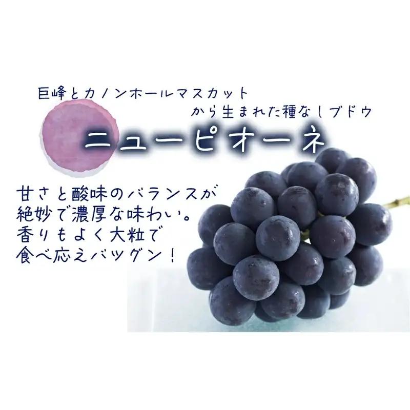 【2026年先行予約】花笑み農園　岡山の『ピオーネ&ラムピオーネジャム&ピオーネワイン&飲む酢』 【hana074-02】