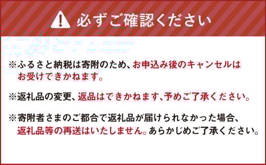 【簡易包装】ベーコン節〈40g〉【2025年6月下旬より順次発送】 ベーコン ハム 熟成 スモーク パスタ リゾット サラダ	