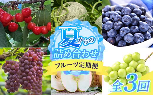 【令和7年度発送】晩夏 夏からの詰め合わせ フルーツ定期便 3回 FSY-1198