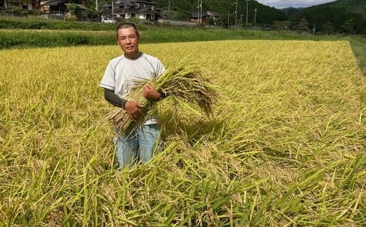 【先行予約】令和7年度産新米　京都丹波産　コシヒカリ米（精米）5kg×2   【ふるさと納税 米 新米 精米 コシヒカリ 特別栽培米  京都府 福知山市】 FCDF002