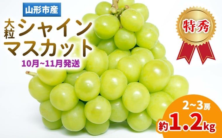 
            山形産 大粒シャインマスカット 約1.2ｋg(2～3房)(10～11月発送分) FY25-283
          