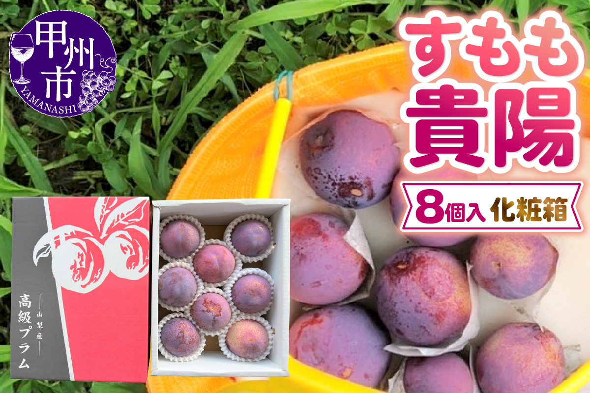 童夢のすもも「貴陽」化粧箱（大玉8個入り） 約1.6kg～約1.9kg（DOM）【2023年先行予約】