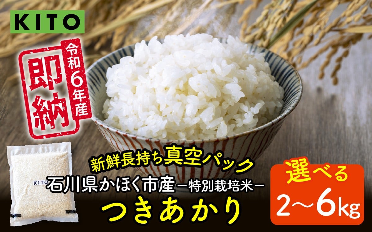 
            【容量が選べる】KITO 令和6年 石川県かほく市産 【特別栽培米】かほく市のお米（つきあかり） 2Kg or 6Kg / 令和6年産 米 単一原料米 国産 こめ コメ 白米 ブランド 食品 常温 ご飯 お取り寄せ 送料無料 即納
          