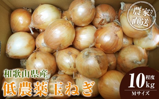 ［2026年発送分・先行予約］農家さん直送 低農薬玉ねぎ Mサイズ 10kg程度［4月中旬～7月中旬頃発送予定］［KF17］