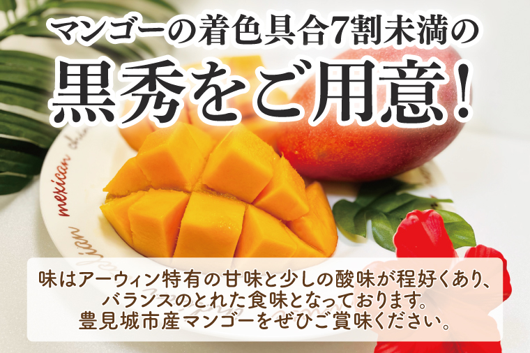 【2025年6月より順次発送】【先行予約】黒秀アーウィンマンゴー 3～4玉(約1.5kg)(化粧箱)(AE007)