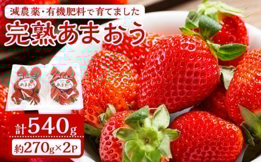 
                  減農薬・有機肥料で育てた「完熟あまおう」２パック【2026年1月～3月発送】【いちご あまおう 完熟 あまおう 完熟 大任町産 ブランド フルーツ 果物 くだもの 食品 人気 おすすめ 福岡県 大任町 送料無料 E005】
                