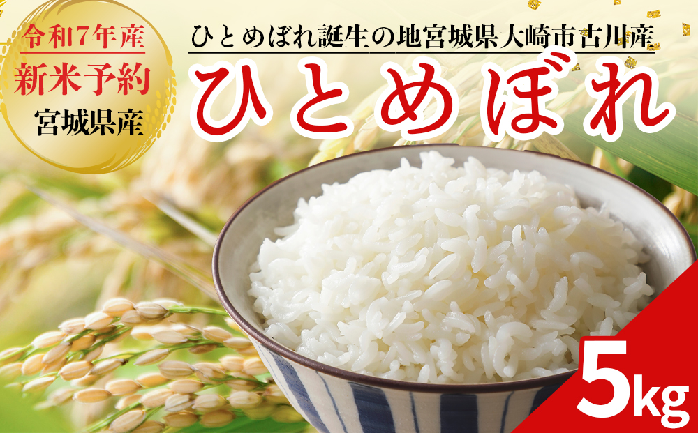 令和7年産 新米 大崎市古川産ひとめぼれ 5kg｜精米 お米 白米 こめ コメ ご飯 ごはん 大崎市産 宮城県産 ブランド米 送料無料