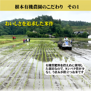 【令和5年産米】南相馬・根本有機農園のJAS有機米天のつぶ2kg(白米）【30042】