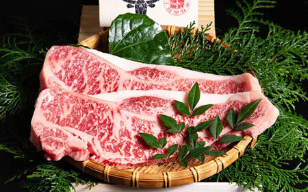 【全12回定期便】五島列島産 黒毛和牛 サーロインステーキ 250g×2枚 五島市/山口Farm[PGJ020]