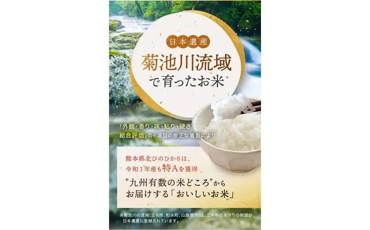 【定期便12回】熊本県産 無洗米 ほたるの灯り 5kg