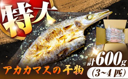 特大アカカマスの開き 干物 計600g（3～4枚）《壱岐市》【馬渡水産】かます カマス アカカマス 赤カマス ひもの 干物 冷凍配送[JAQ036]
