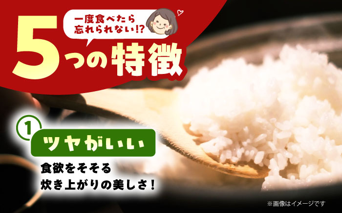【先行予約】 令和7年産 新米 さがびより 精米 10kg （ 5kg×2袋 ）【佐賀県江北町産】 米 白米 [HAF031]