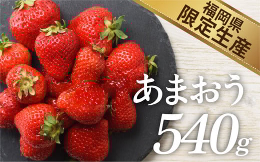 人気№１獲得謝礼品★限定品★あまおう約５４０g（先行受付．２０２６年１月以降発送）.A1381