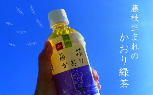 お茶 ペットボトル 藤枝かおり 350ml × 24本 緑茶 静岡県 飲み物 飲料 備蓄 保存 災害