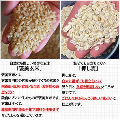 ふるさと納税 豊能町 【白米に混ぜて簡単!】国産 押し麦ブレンド3.0kg(300g×10袋入り) |  | 01
