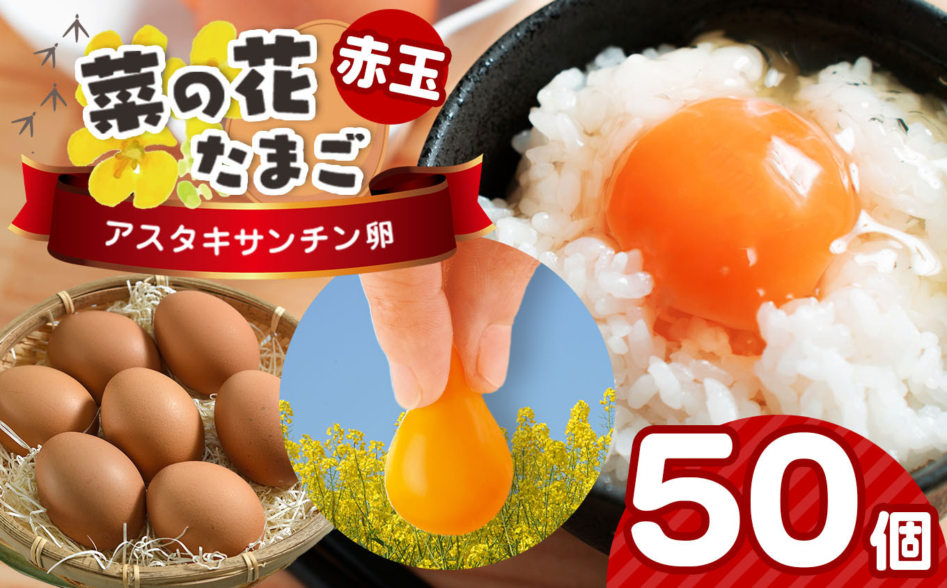 
            2週間以内に発送  新鮮 ★【 赤玉 50個 】君津市産 菜の花エッグ アスタキサンチン 菜の花たまご | 早く届く すぐ すぐ発送 卵 たまご タマゴ　鶏卵 玉子 赤 こだわり 卵かけご飯 たまご焼き オムレツ とろける お菓子作り 新鮮 食卓 オススメ 千葉県 君津市 きみつ
          
