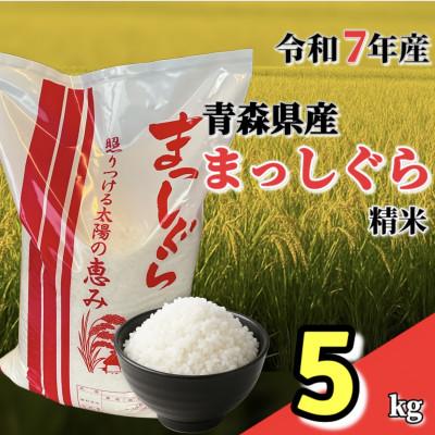 ふるさと納税 十和田市 【令和7年産】青森県産まっしぐら精米5kg