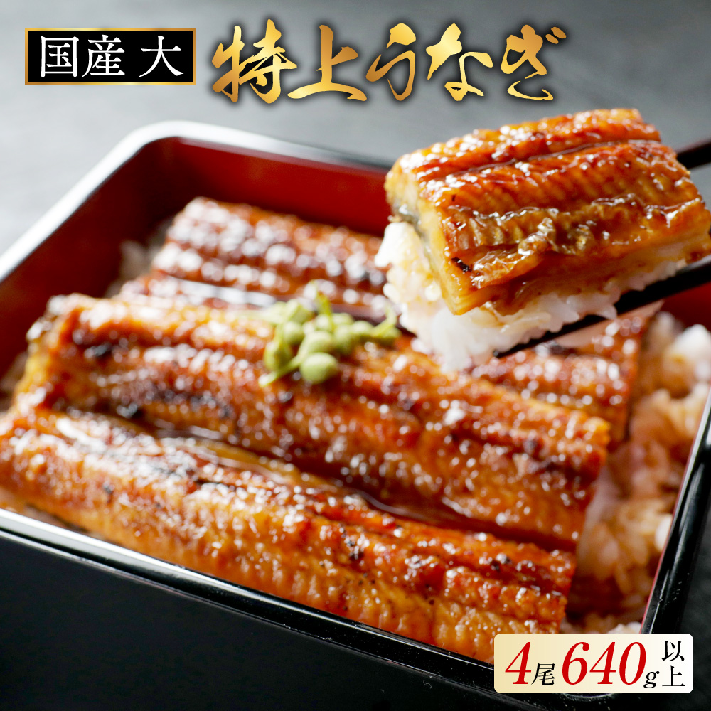 国産 大 特上うなぎ(160g×4尾)　OT000OB40