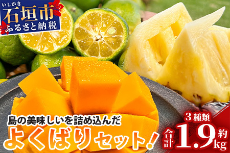 【先行予約】島の美味しい詰め込んだよくばりセット！ TF-9