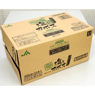 ふるさと納税 津久見市 塩とカボス　495ml×24本(津久見市) |  | 02