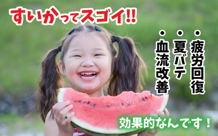 【先行予約】甘さきらめく「夏の天使」スイカ1玉 【2024年7月上旬以降順次発送予定】[A-1005]
