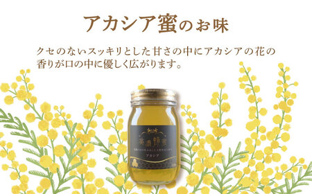 美濃蜂蜜 アカシア 600g 【マンモスハウス合同会社】 はちみつ 非加熱 国産[TEW006]