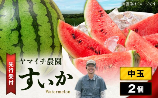 【三浦農家直送】中玉スイカ（2個入り）　M003-002